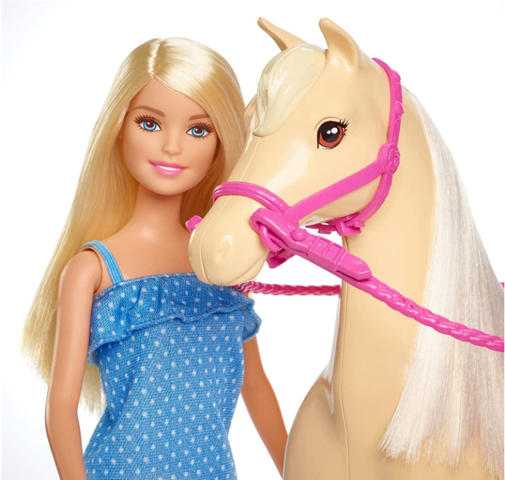 Barbie Chelsea Doll & Toy Horse Set